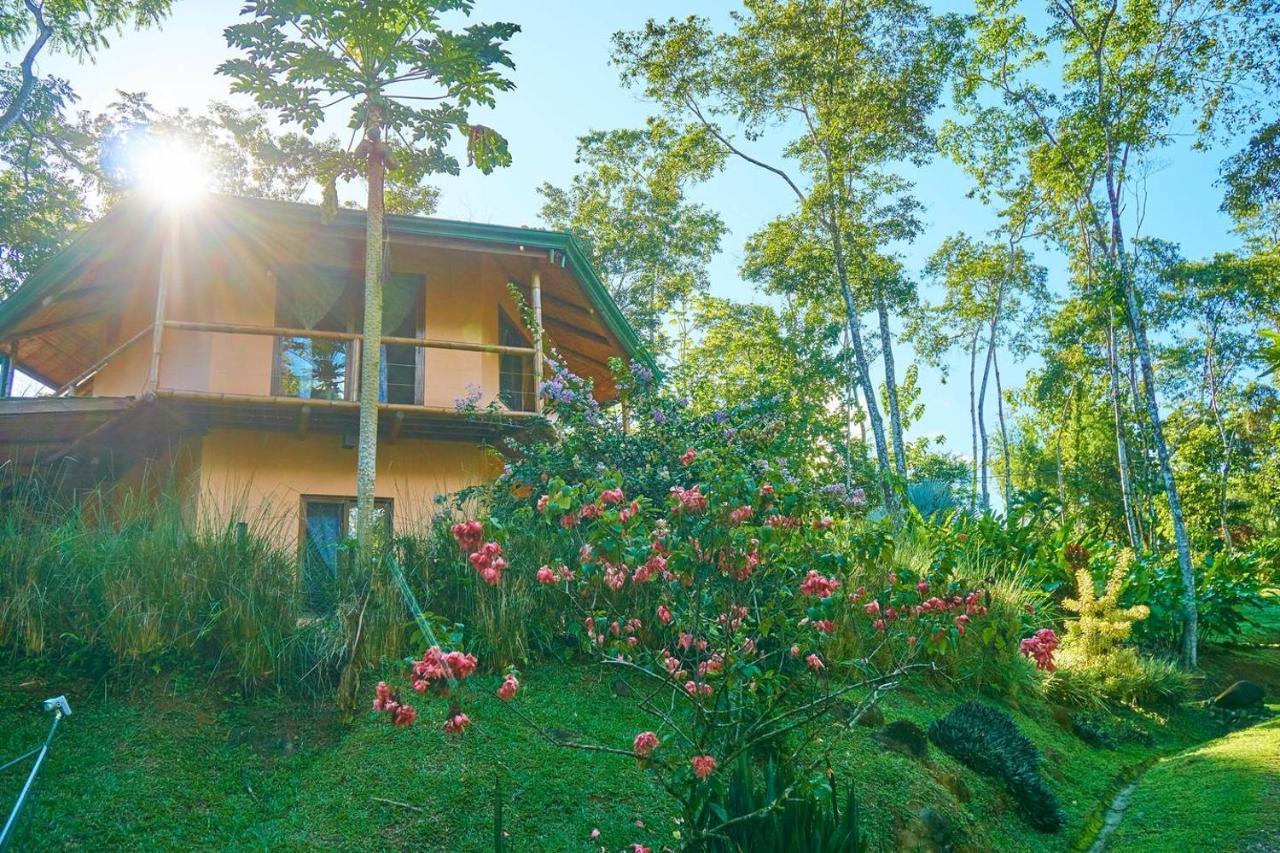 Bed and Breakfast Manoas à Uvita Extérieur photo