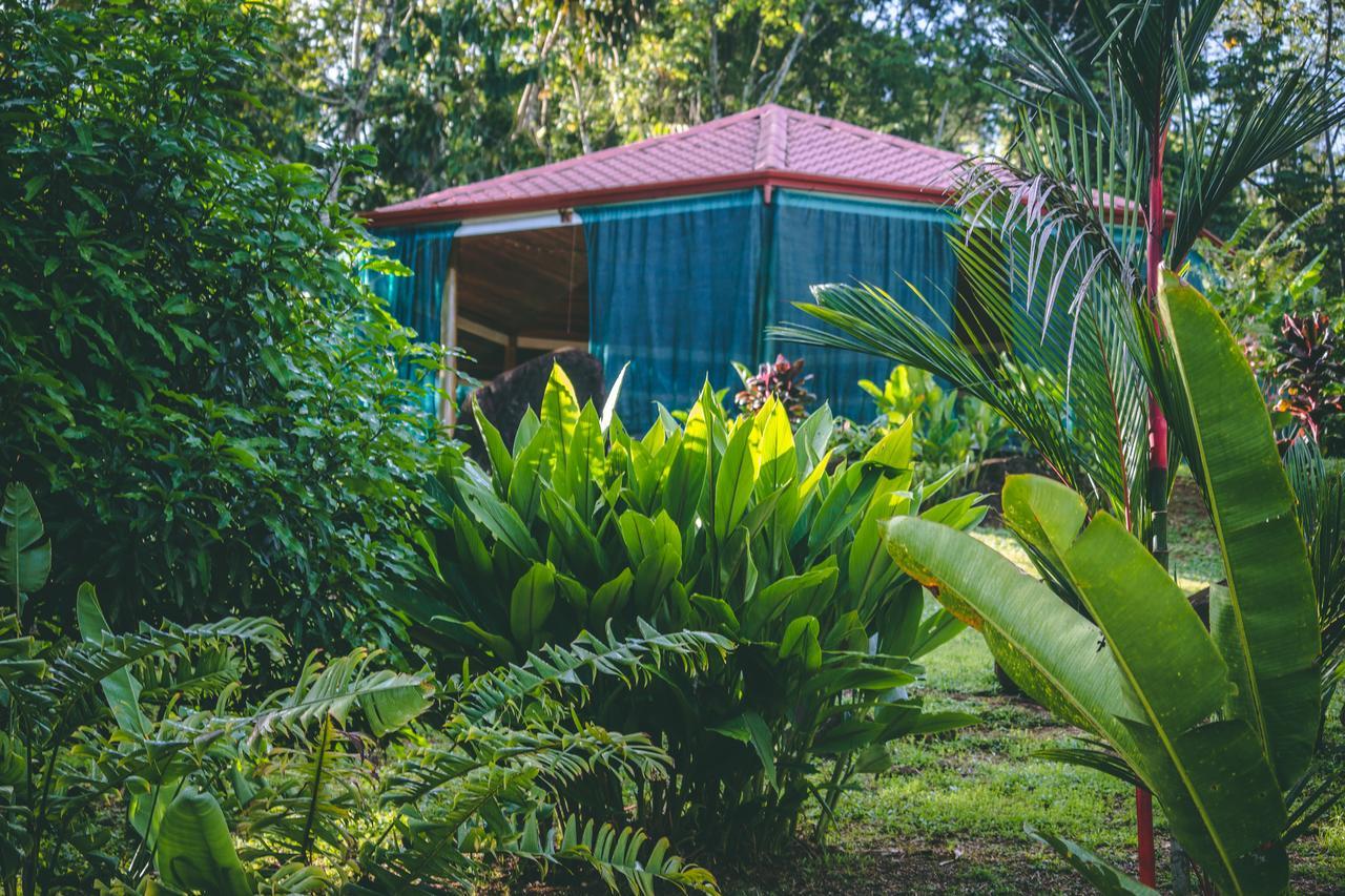Bed and Breakfast Manoas à Uvita Extérieur photo